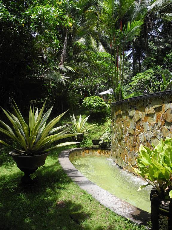 Villa Jineng Ubud By Basma Groups ภายนอก รูปภาพ
